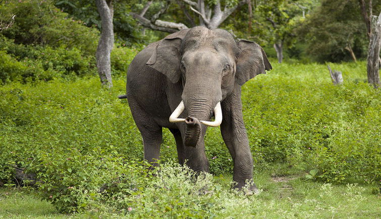 volunteer tanzania